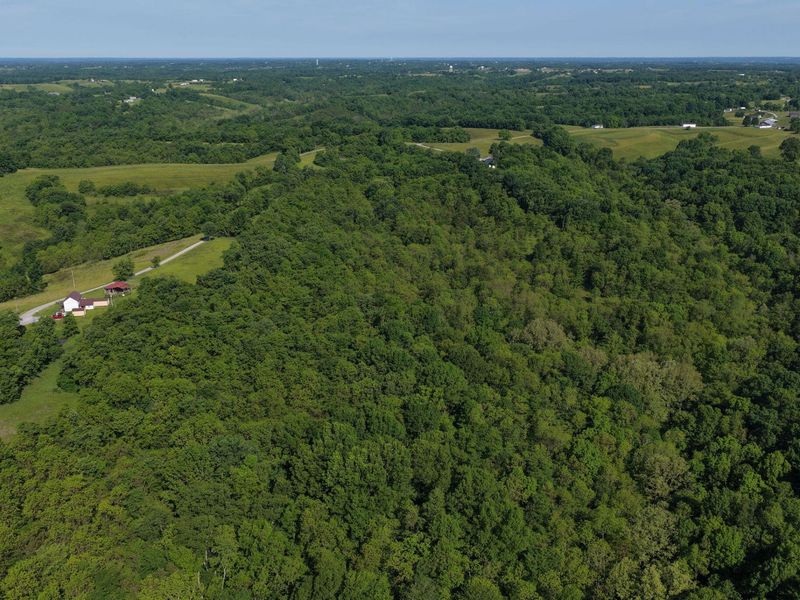 0 Crockett Lane, Mount Olivet, KY 41064 Photo 9