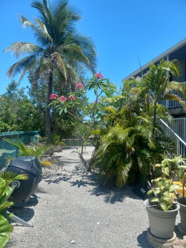251 Pelican Lane, Big Pine Key, FL 33043 Photo