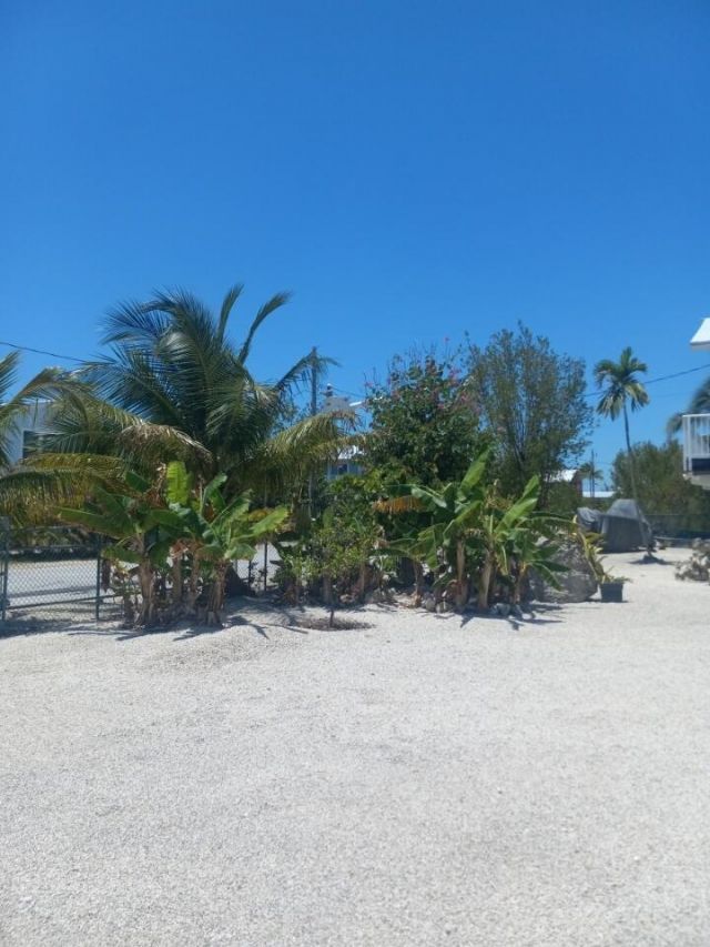 251 Pelican Lane, Big Pine Key, FL 33043 Photo