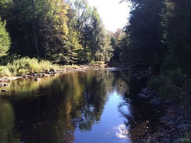 Rt-29 , Salisbury Center, NY 13365