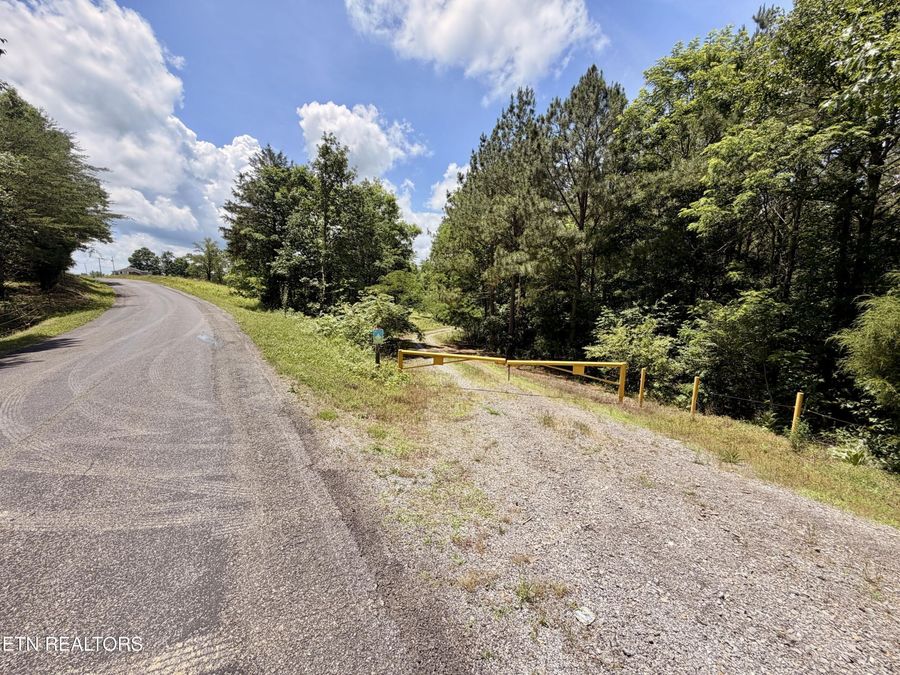 Property Image 38