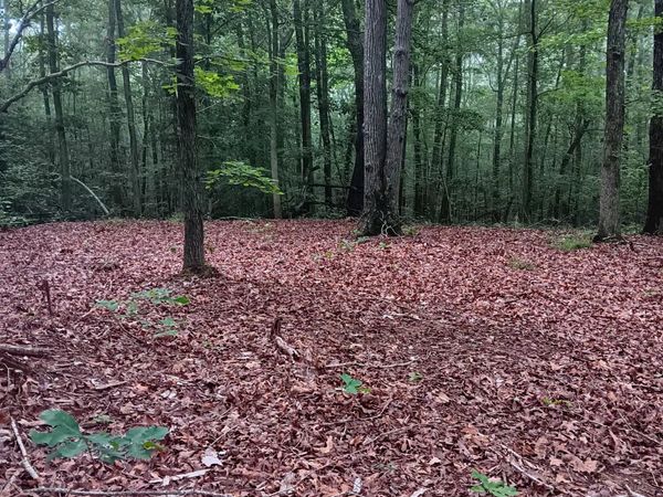 0 logger lane , Unit 52, Cedar Grove, TN 38321