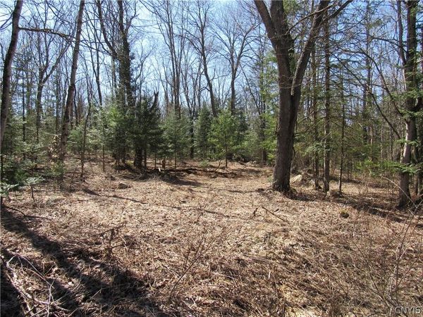 1018 South Road , Forestport, NY 13338