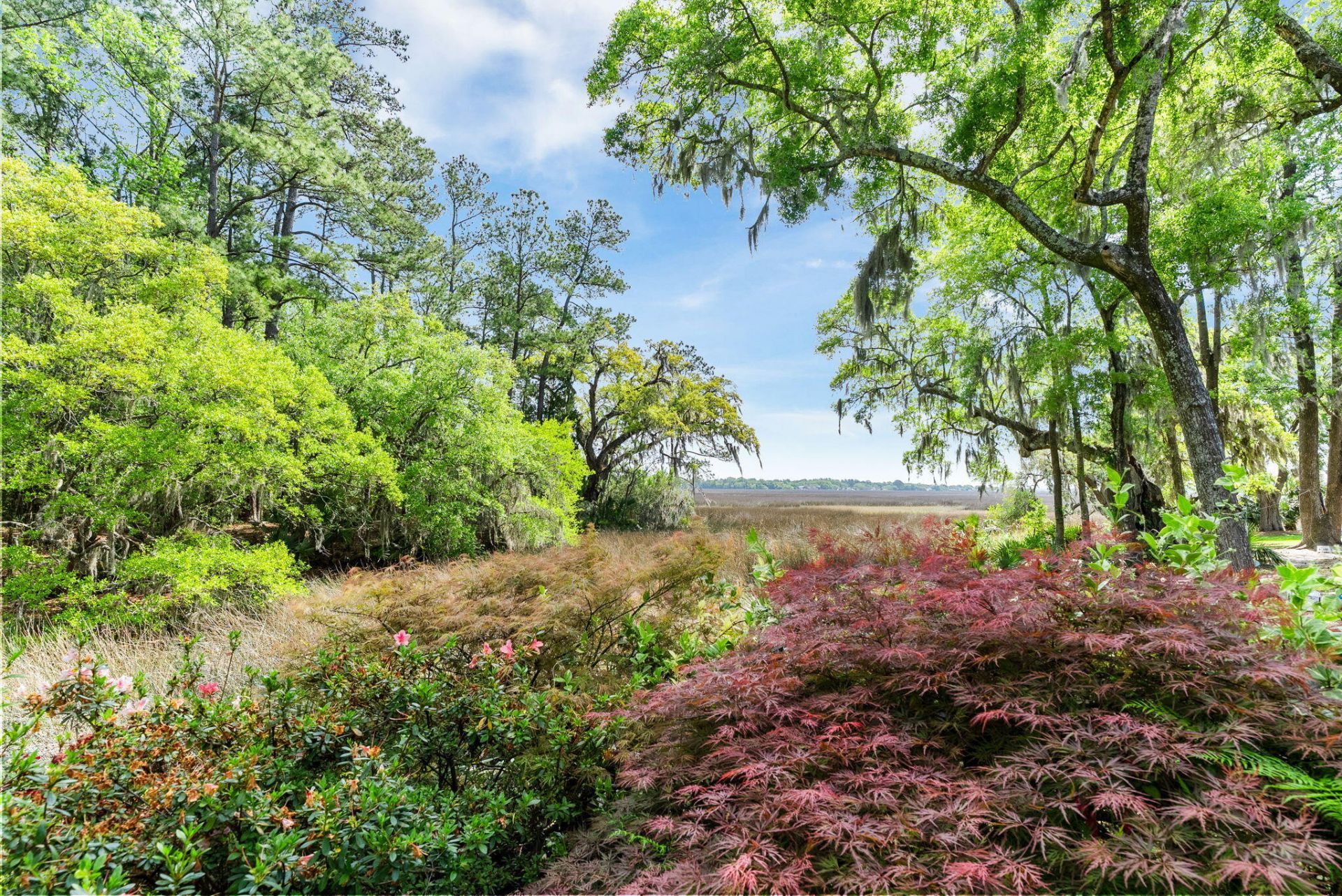 2453 Vaucluse Road Photo 62