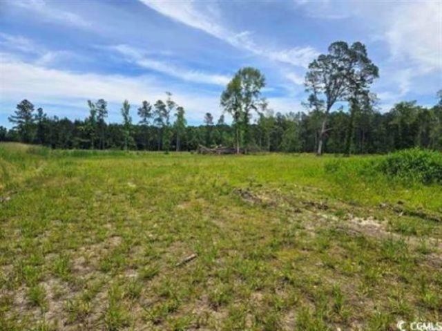 Mount Olive Church Rd.  Photo 4