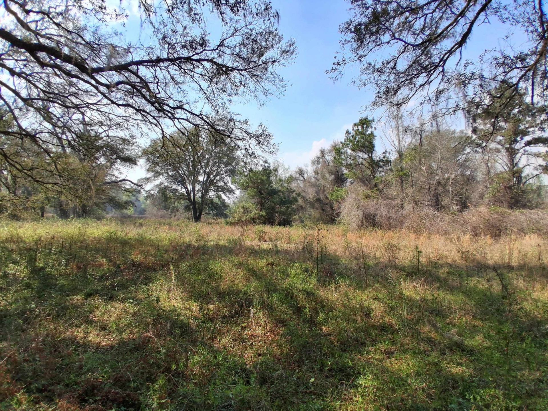10481 Ashville Highway, Greenville, FL 32331 Photo