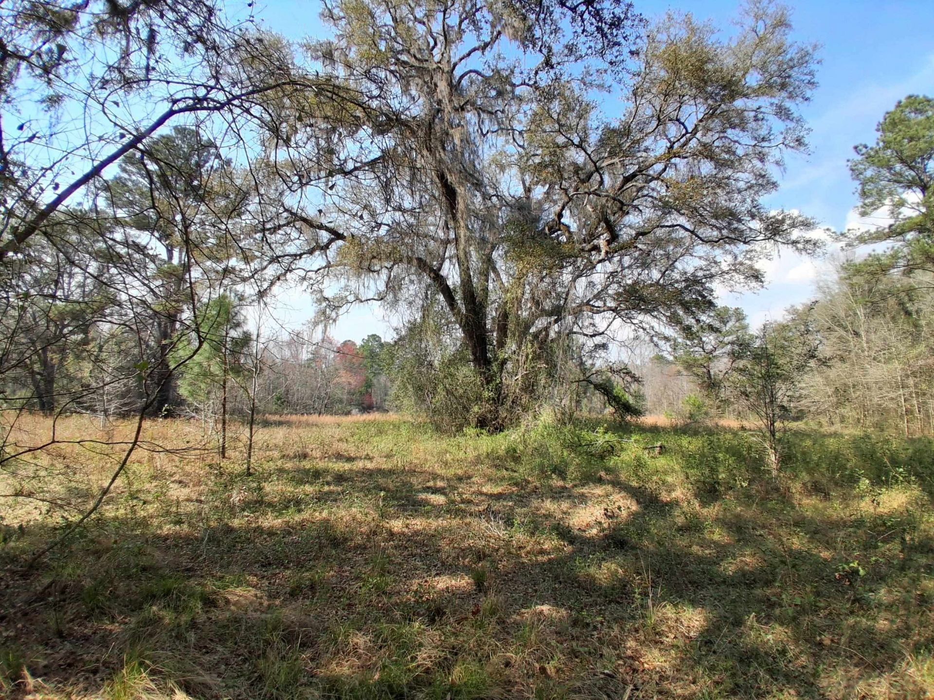 10481 Ashville Highway, Greenville, FL 32331 Photo