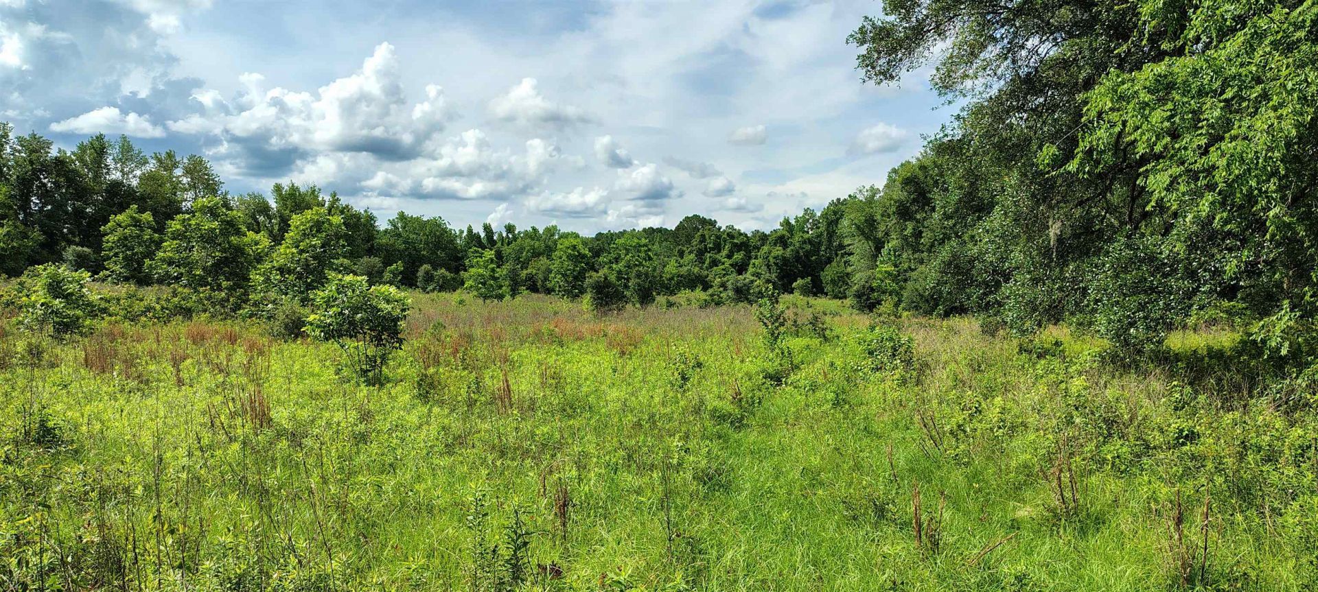 10481 Ashville Highway, Greenville, FL 32331 Photo
