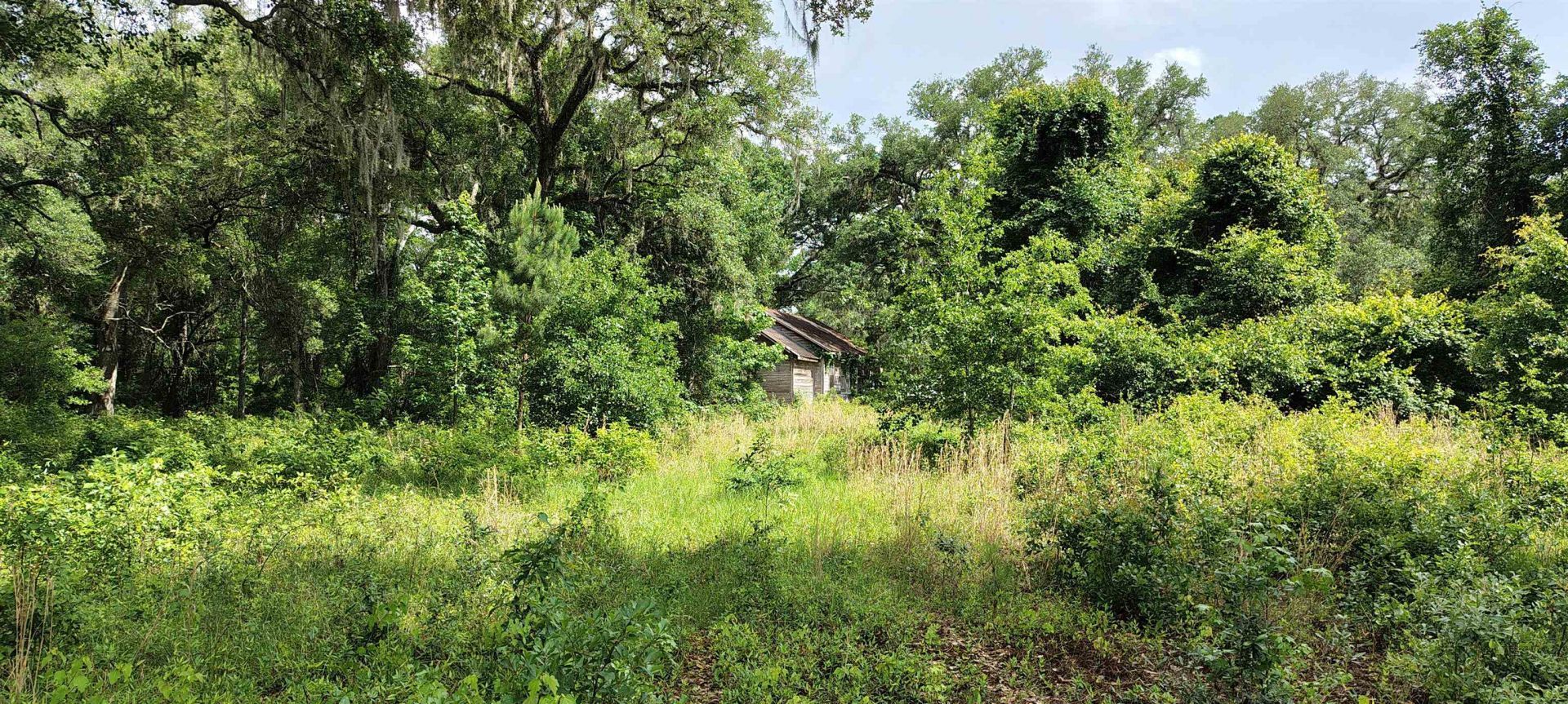 10481 Ashville Highway, Greenville, FL 32331 Photo