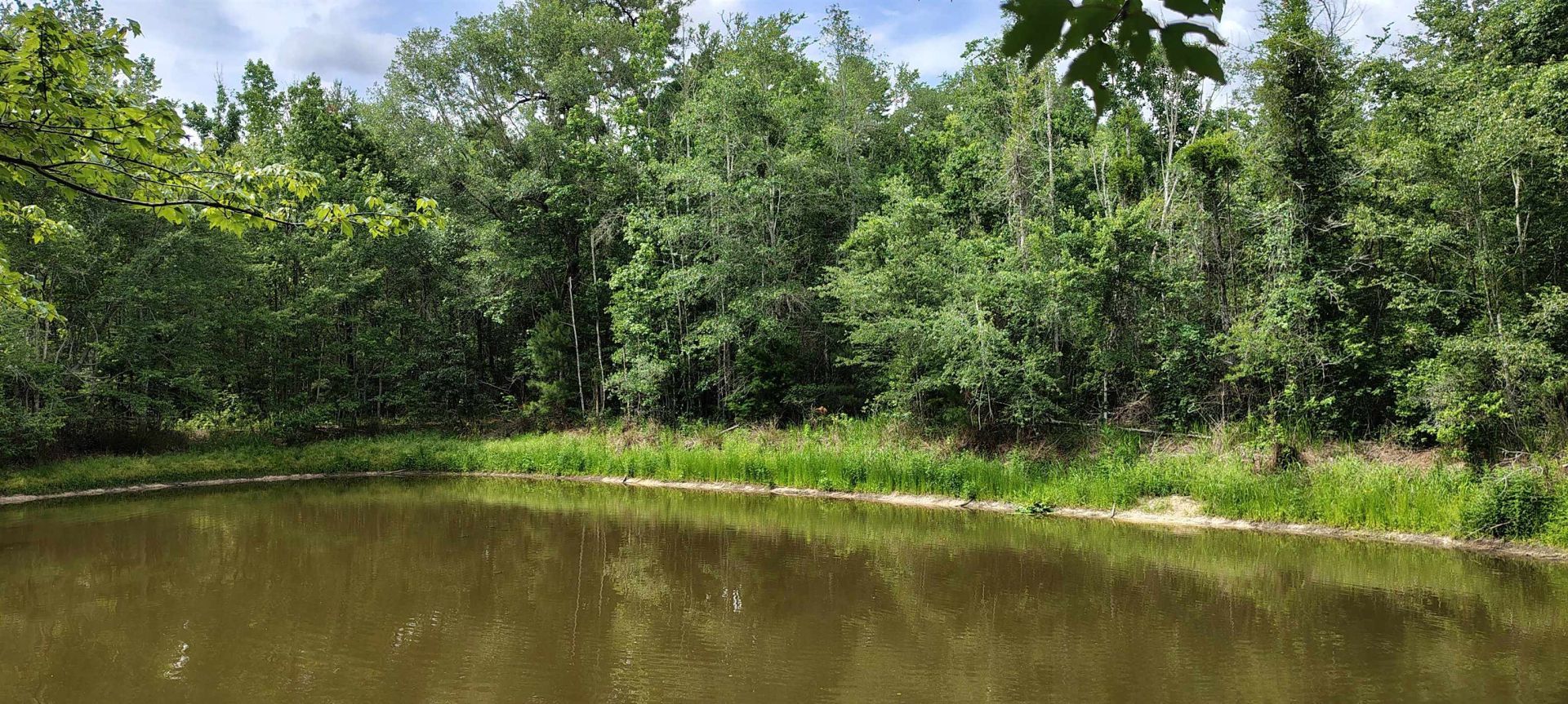10481 Ashville Highway, Greenville, FL 32331 Photo
