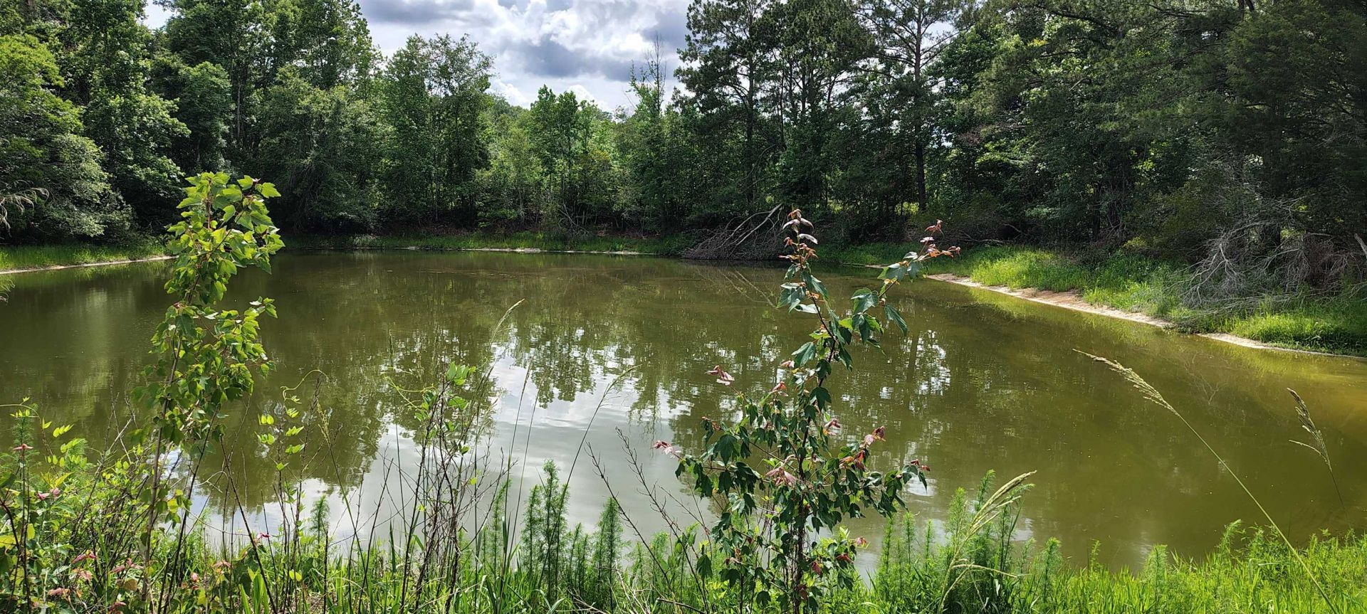 10481 Ashville Highway, Greenville, FL 32331 Photo