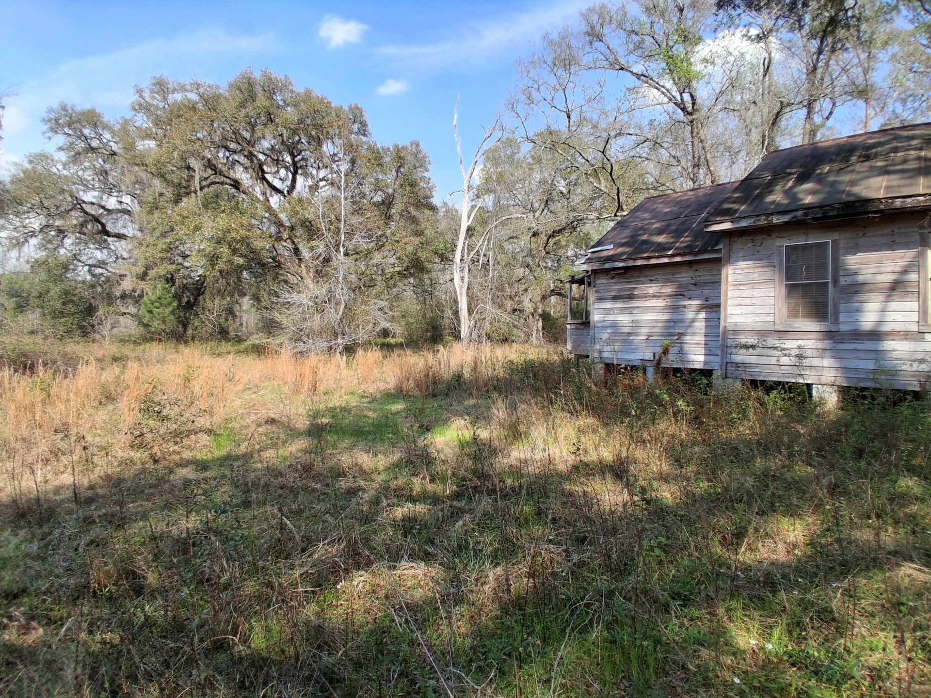 10481 Ashville Highway, Greenville, FL 32331 Photo