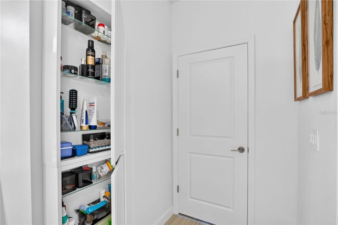 12617 Lily Quartz Loop, Parrish, FL 34219 Photo