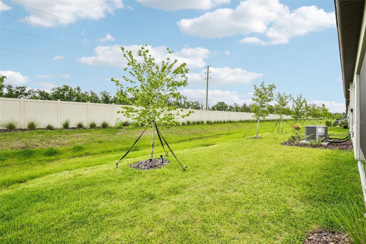 12617 Lily Quartz Loop, Parrish, FL 34219 Photo