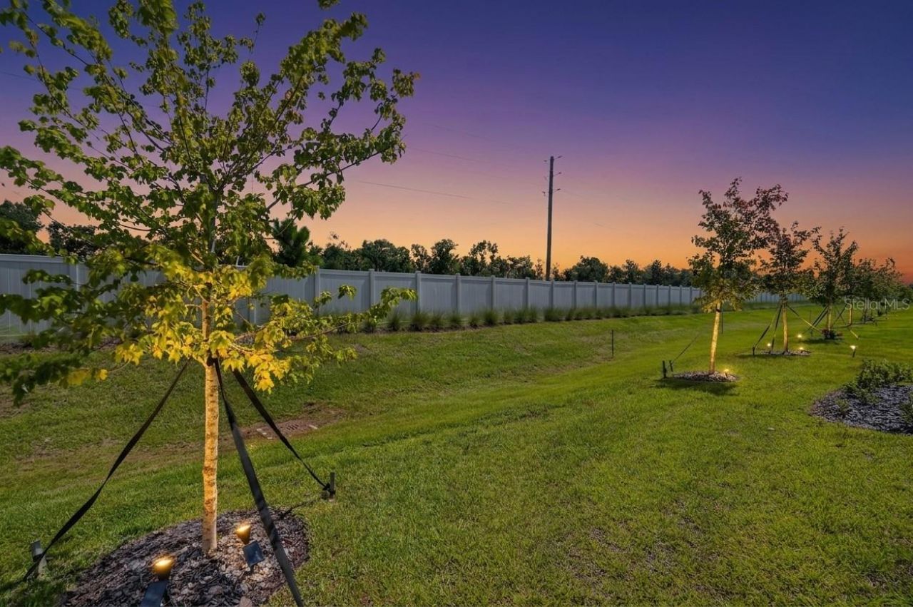 12617 Lily Quartz Loop, Parrish, FL 34219 Photo