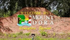 5268 Greenheart Avenue, Mount Dora, FL 32757 Photo