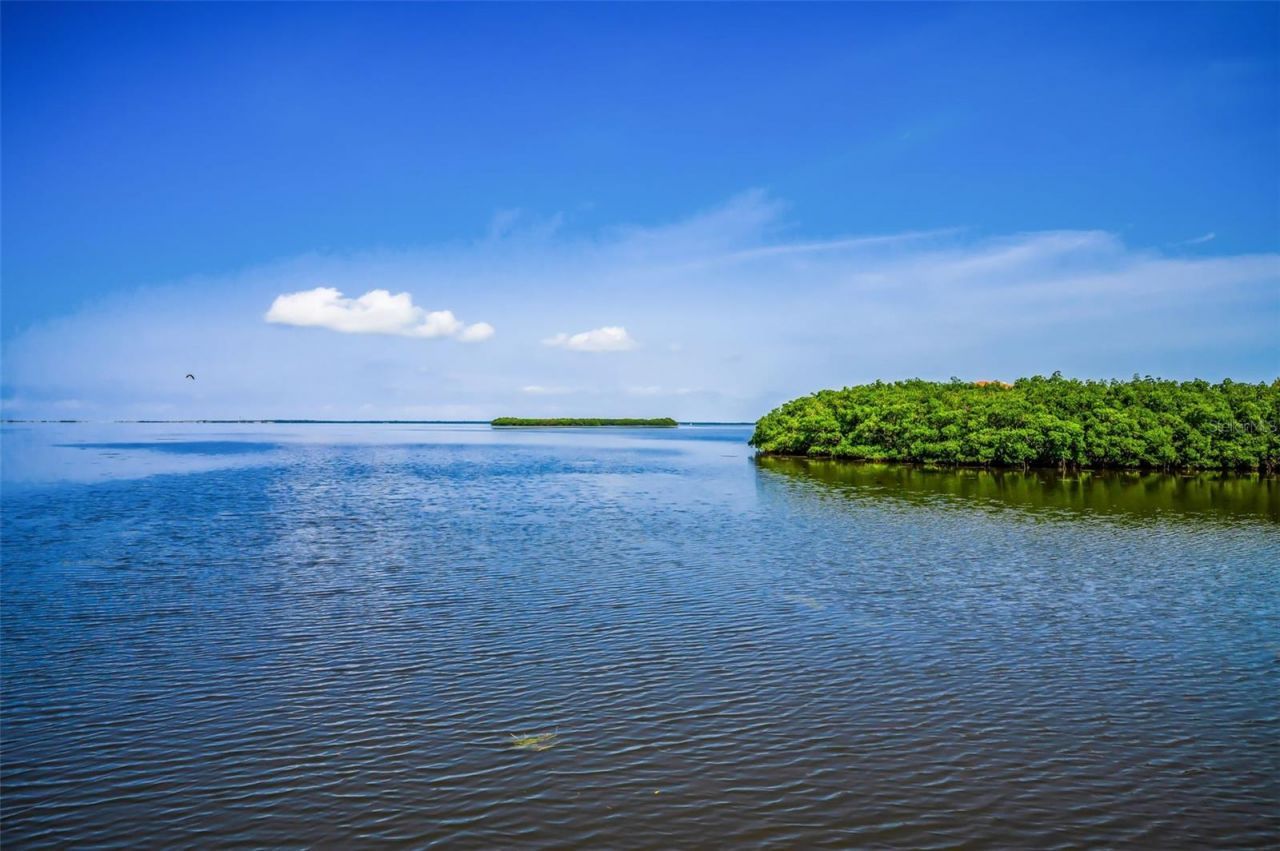 1620 Sea Breeze Drive, Tarpon Springs, FL 34689 Photo