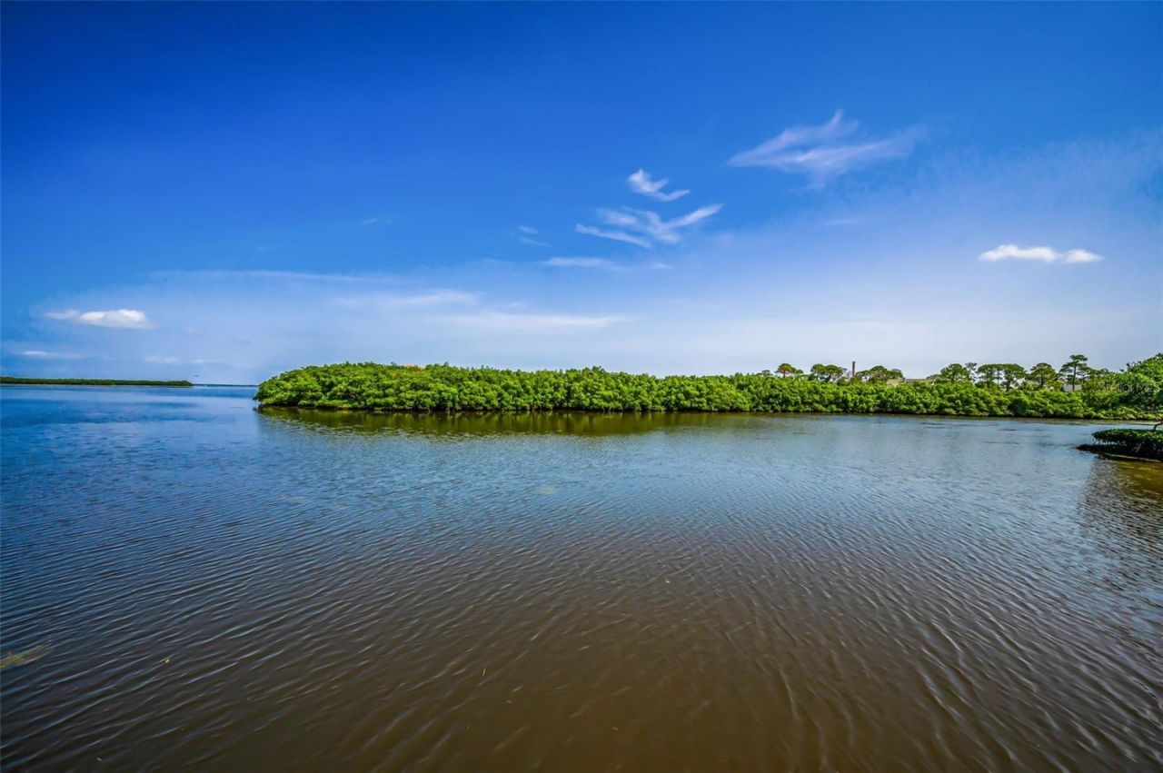 1620 Sea Breeze Drive, Tarpon Springs, FL 34689 Photo
