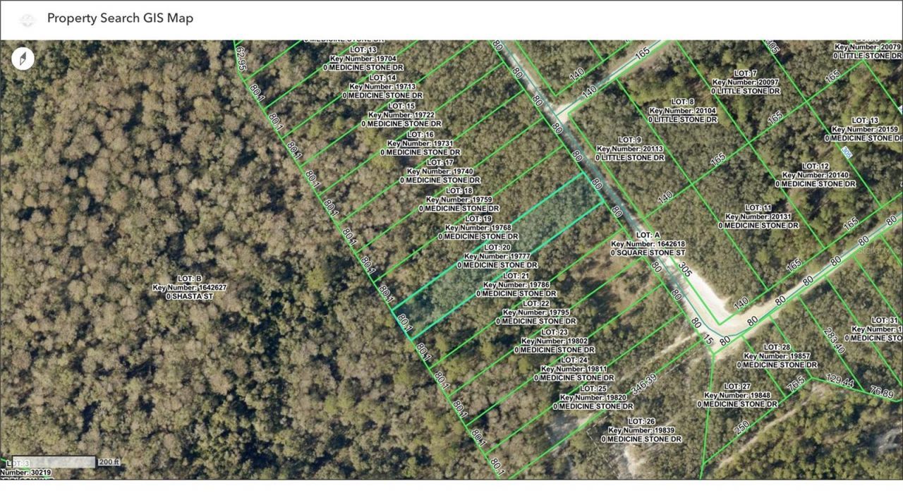 Tbd Medicine Stone Drive, Webster, FL 33597 Main Photo