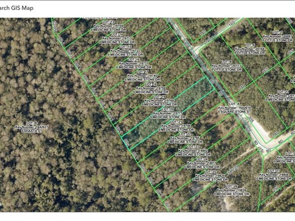 TBD MEDICINE STONE DRIVE, WEBSTER, FL 33597