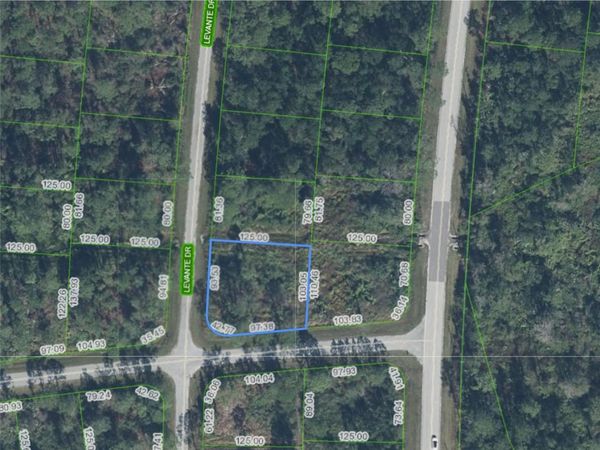 5010 LEVANTE DRIVE , SEBRING, FL 33872