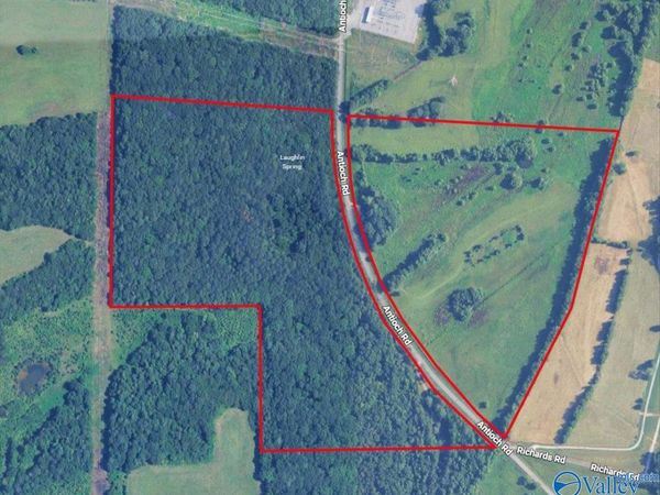 1990 Antioch Road, Somerville, AL 35670