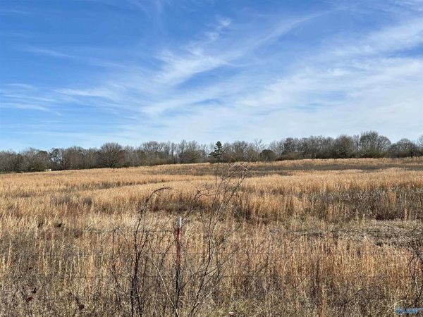 1.5 ac Lot 1 Strange Road, Horton, AL 35980