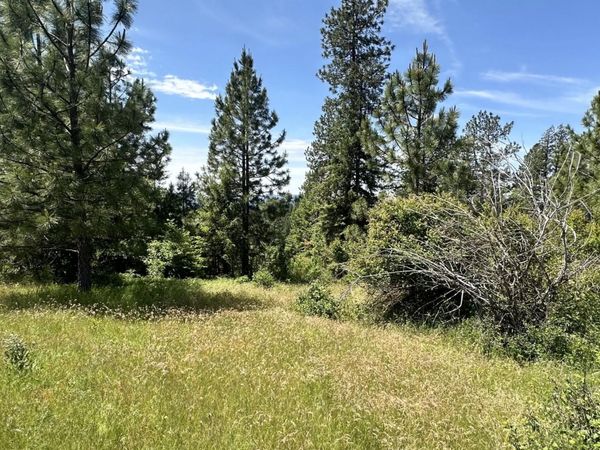 Mullan Trail Road , Coeur d'Alene, ID 83814