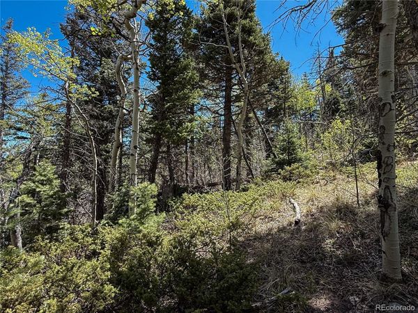 2348 Benton Place , Fort Garland, CO 81133