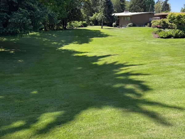 Tax Lot 1801 next to 650 Isabella St, Lebanon, OR 97355