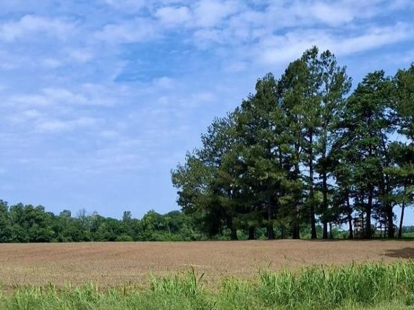 Tract 1 CR 800 W Road, Richland, IN 47634
