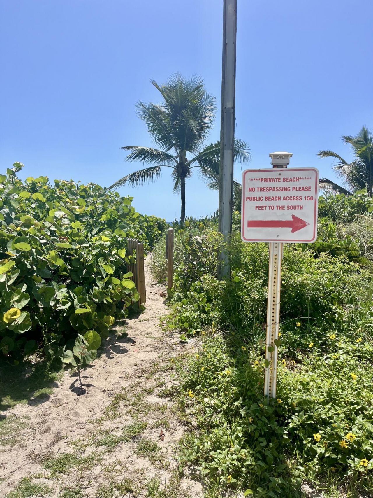 14 Tropical Drive, Ocean Ridge, FL 33435 Photo