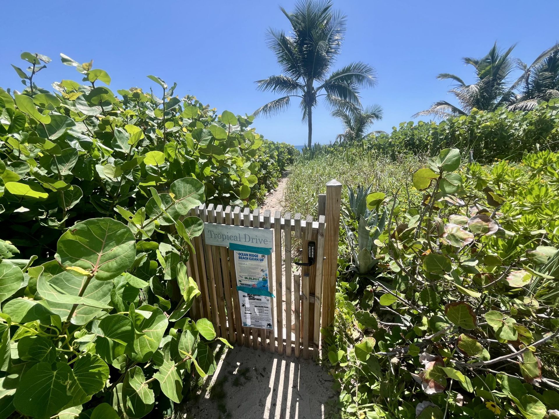 14 Tropical Drive, Ocean Ridge, FL 33435 Photo