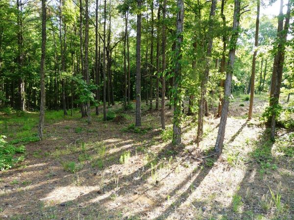 LOT 75 HARBOR LIGHTS TRAIL, Jasper, AL 35504