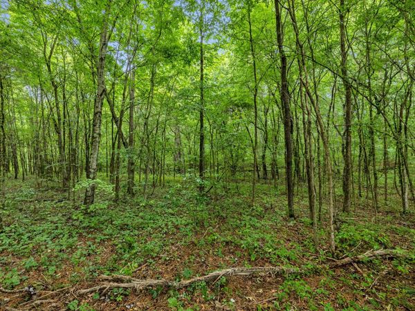 0 Eli Rd , Unit 1, Bon Aqua, TN 37025
