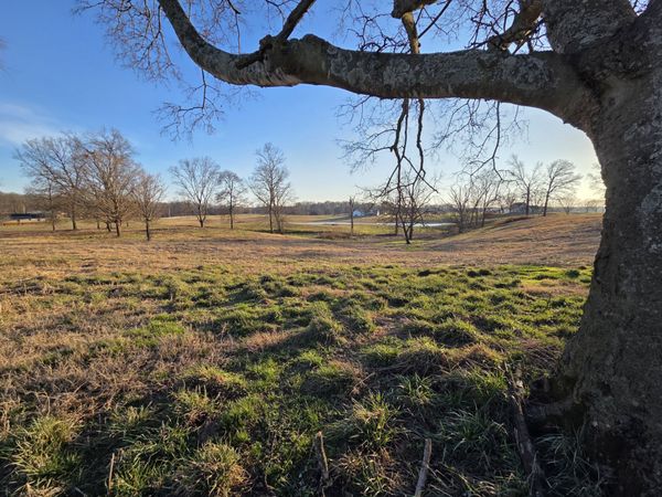 0 Homer Worsham , Unit 12, Springfield, TN 37172