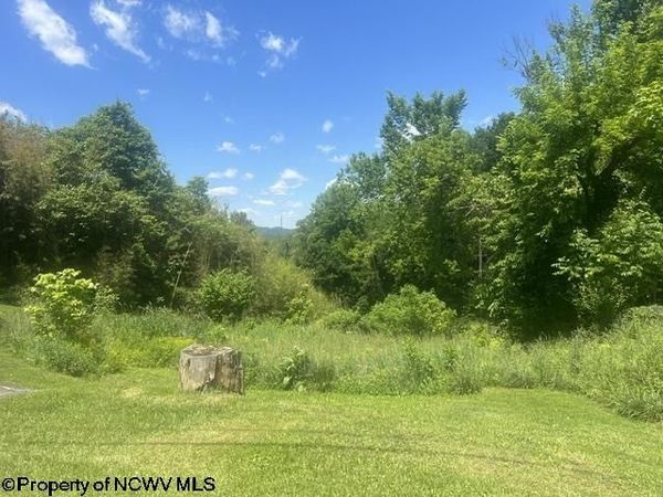 1168 Boulevard Avenue, Fairmont, WV 26554
