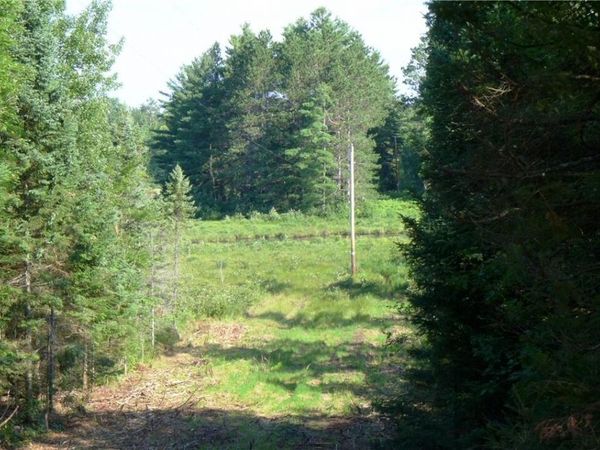 0 BRANDT ROAD, Hayward, WI 54843