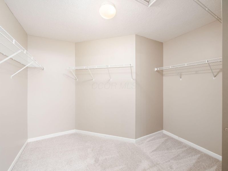 7817 Polo Lane, Powell, OH 43065 Photo 26