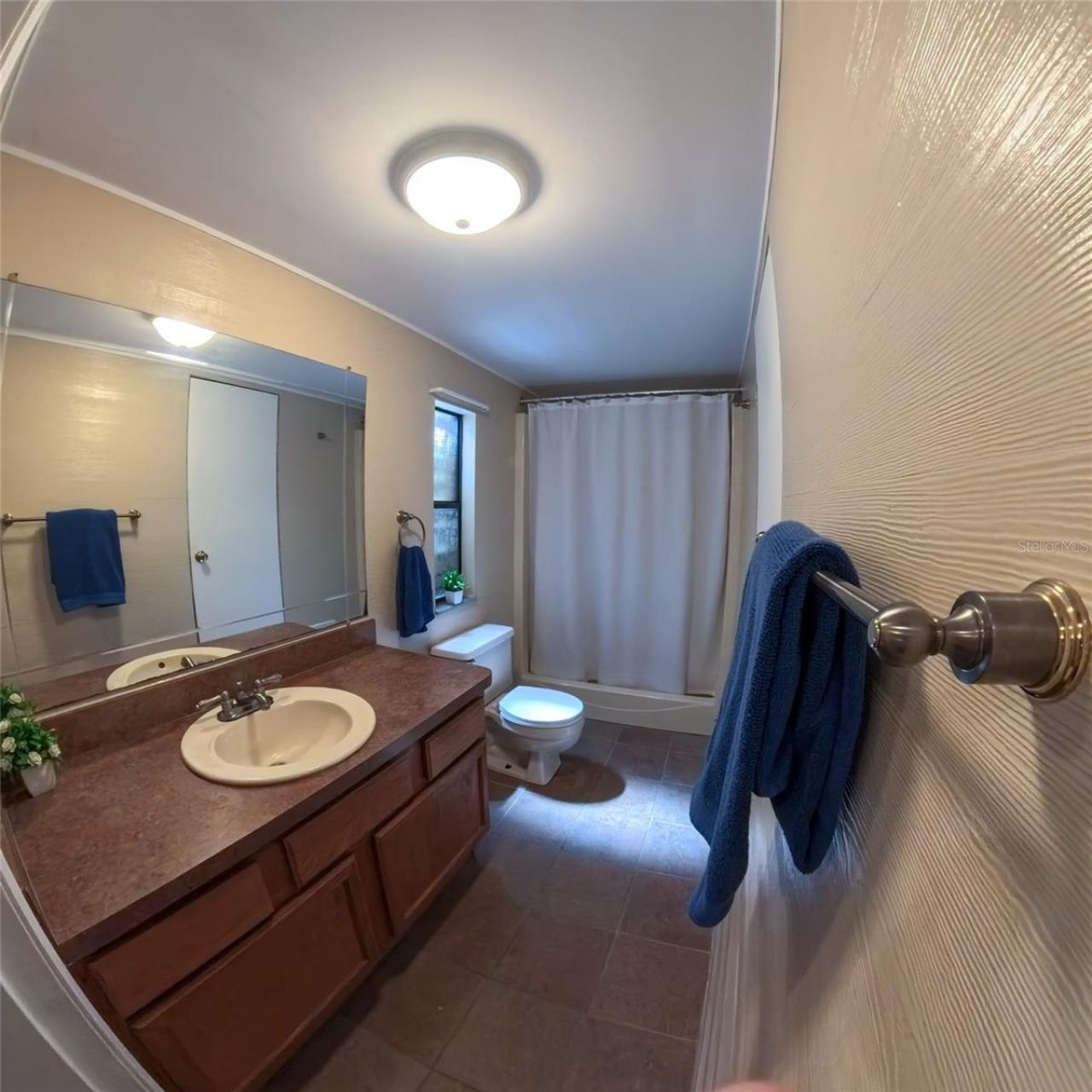 2501 Gator Lane, Groveland, FL 34736 Photo