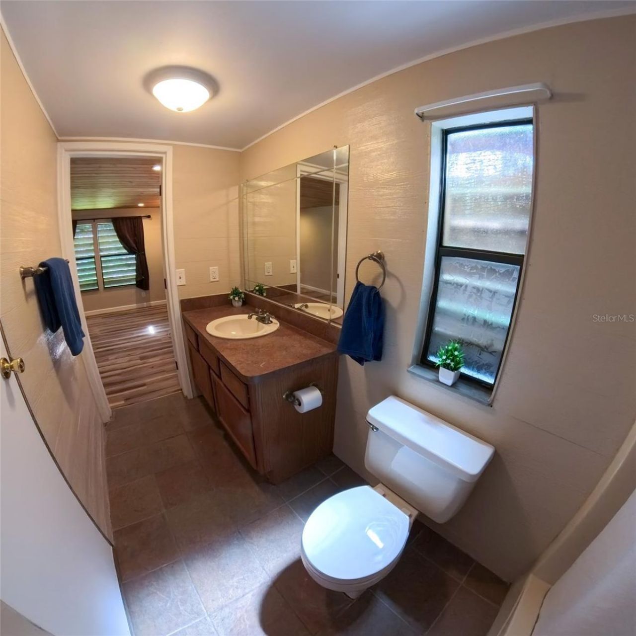 2501 Gator Lane, Groveland, FL 34736 Photo