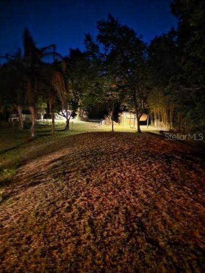 2501 Gator Lane, Groveland, FL 34736 Photo