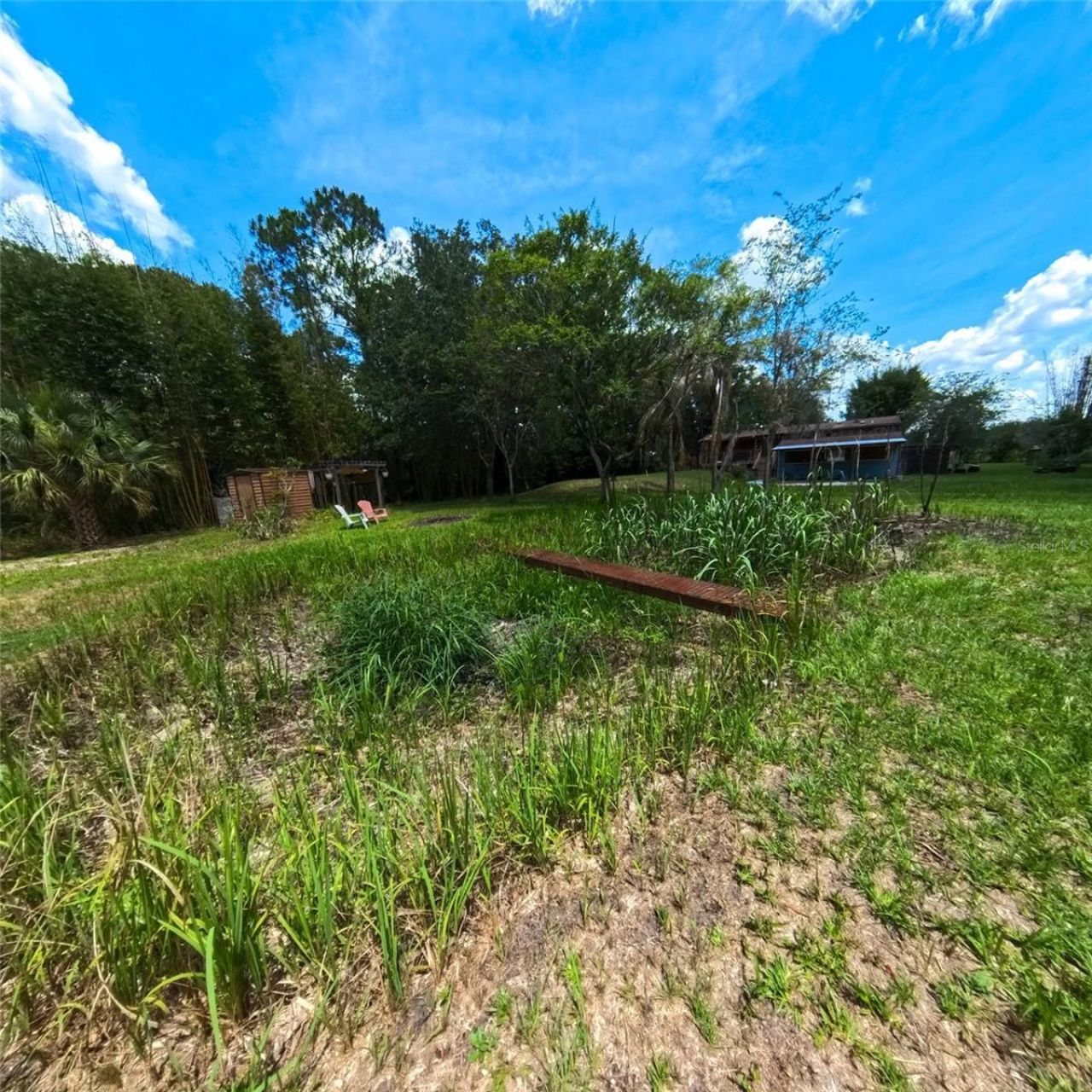 2501 Gator Lane, Groveland, FL 34736 Photo