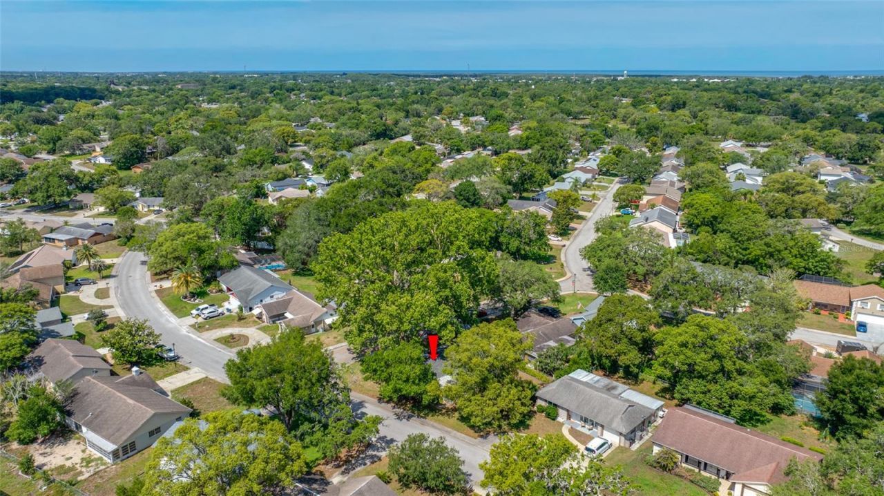 8705 Powderhorn Row, Hudson, FL 34667 Photo