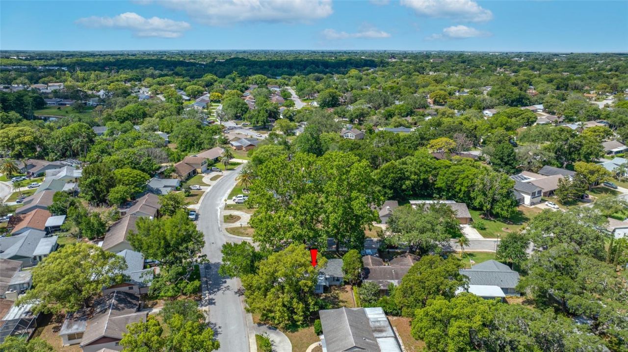 8705 Powderhorn Row, Hudson, FL 34667 Photo