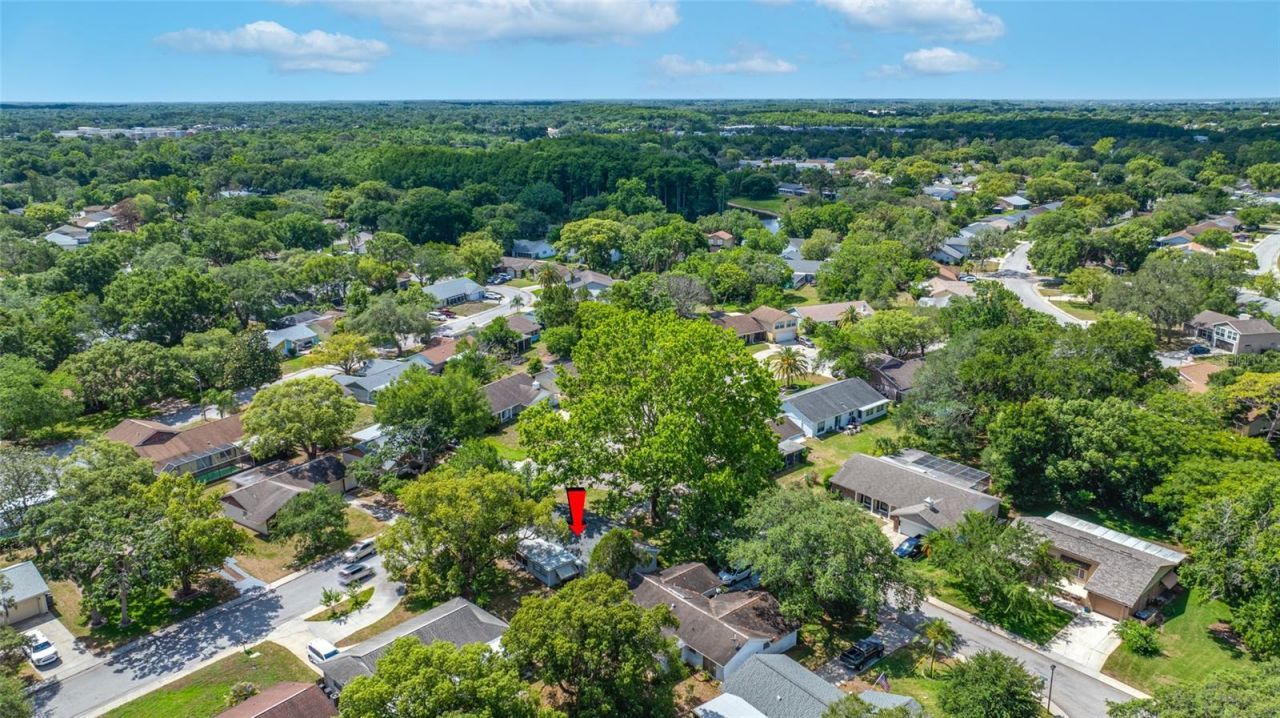 8705 Powderhorn Row, Hudson, FL 34667 Photo