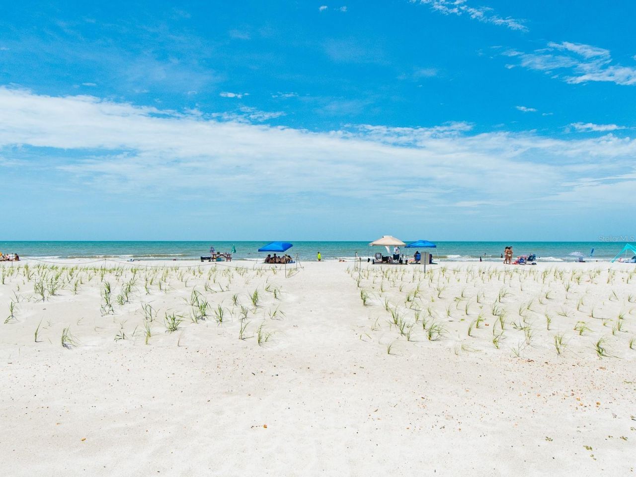 19600 Gulf Boulevard, Unit 102, Indian Shores, FL 33785 Photo