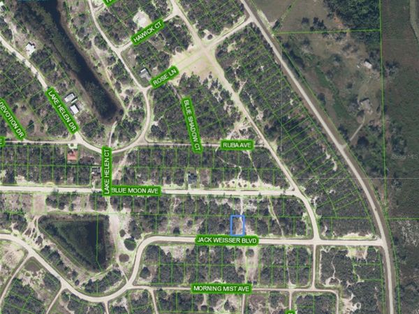 462 JACK WEISSER BOULEVARD , LAKE PLACID, FL 33852