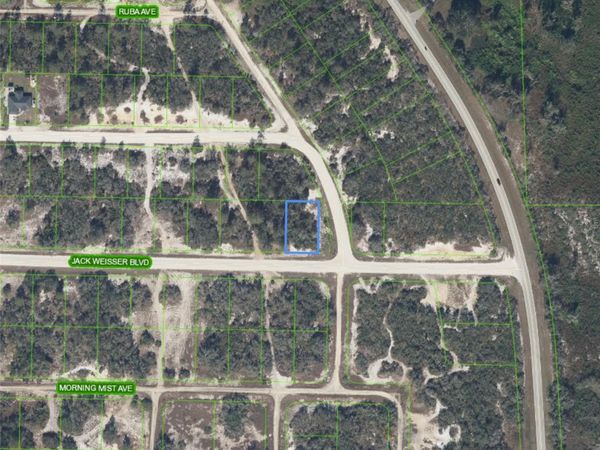 472 JACK WEISSER BOULEVARD , LAKE PLACID, FL 33852