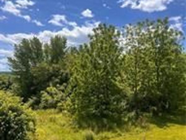 25 BELTZVILLE DRIVE , LEHIGHTON, PA 18235